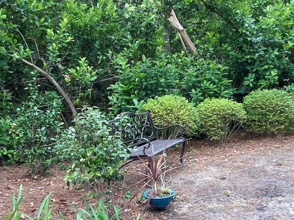 Custom landscaping & flower-bed maintenance